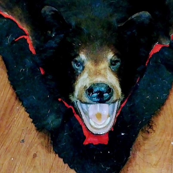 Taxidermy Large Brown Bear Rug, - Picture 8 of 16